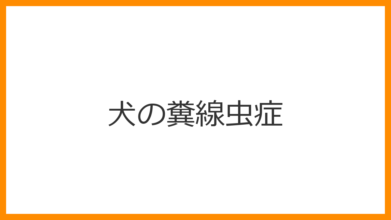 【犬の糞線虫症】水っぽい下痢・粘血便と咳は寄生虫？人間への皮下侵入注意と徹底駆虫ガイド
