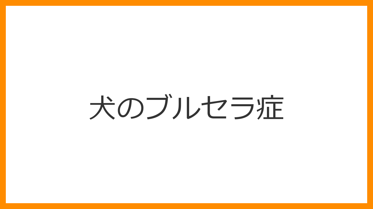 【犬のブルセラ症】流産・精巣の腫れは細菌のサイン？人間にもうつる危険とブリーディングのリスクを解説