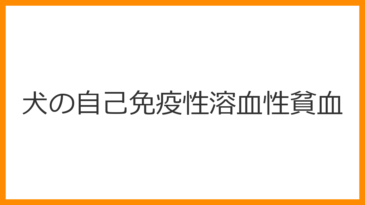 【犬の免疫介在性溶血性貧血（IMHA）】急な貧血と黄疸の恐怖！最新治療と輸血の知識