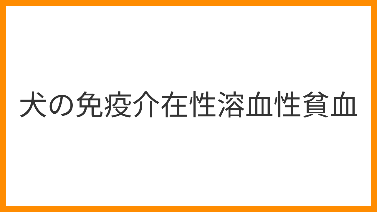 【犬の免疫介在性溶血性貧血（IMHA）】急な貧血と黄疸の恐怖！最新治療と輸血の知識