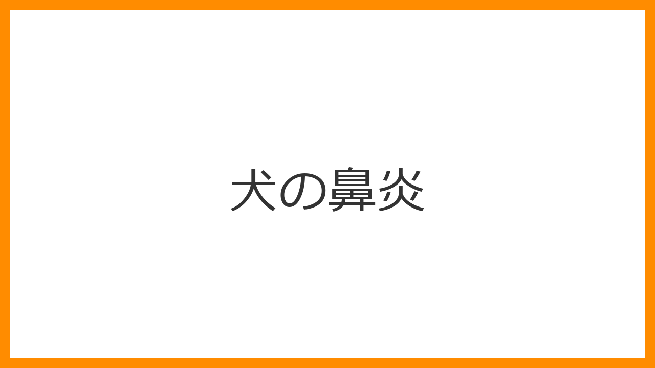 【犬の鼻炎】鼻水やくしゃみが止まらないのは風邪？片方だけ出る危険サインと加湿・ネブライザー治療を解説