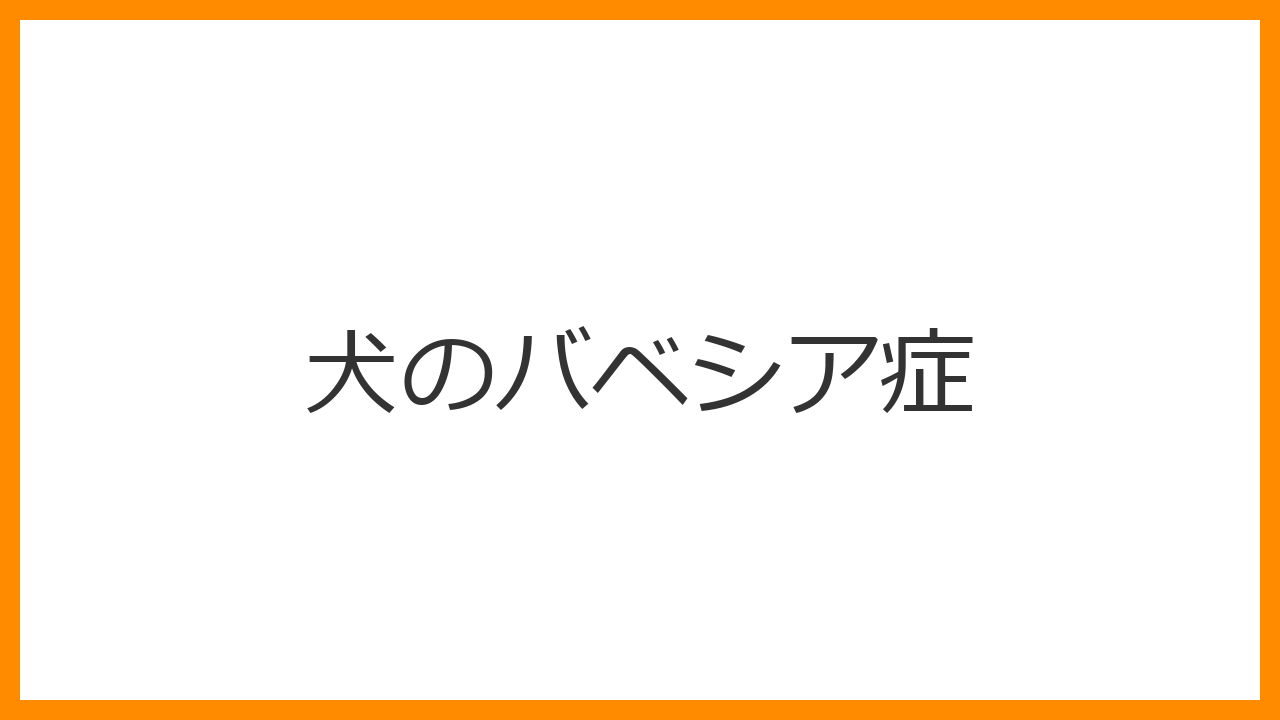 【犬のバベシア症】コーラ色の尿・高熱・真っ白な歯ぐきはマダニの感染？致死率の高い貧血から命を守る治療を解説