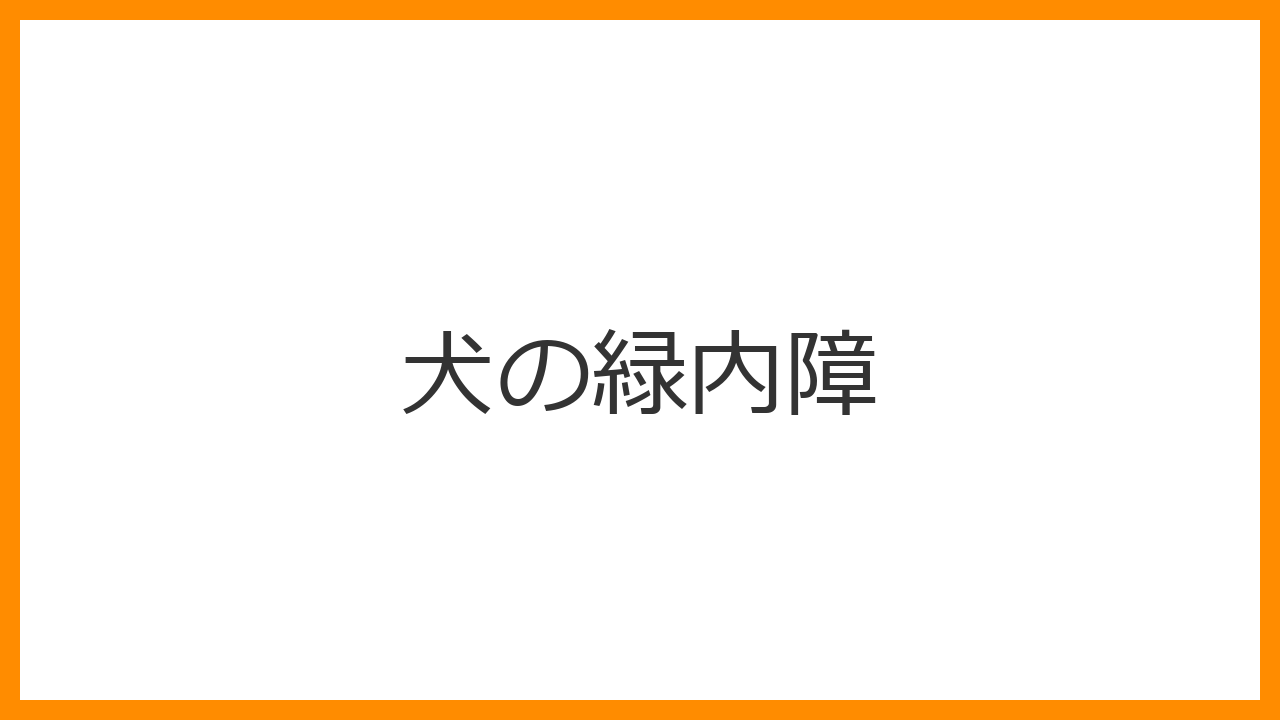 【犬の緑内障】激しい痛みを伴う救急疾患！失明を防ぐための緊急サインと治療