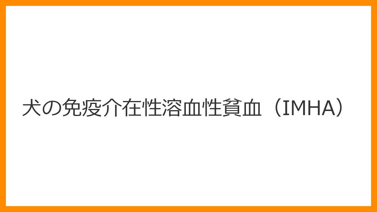 【犬の免疫介在性溶血性貧血（IMHA）】黄疸（白目が黄色い）・紅茶色の尿は免疫暴走？超緊急のステロイド治療と血栓症リスクを解説