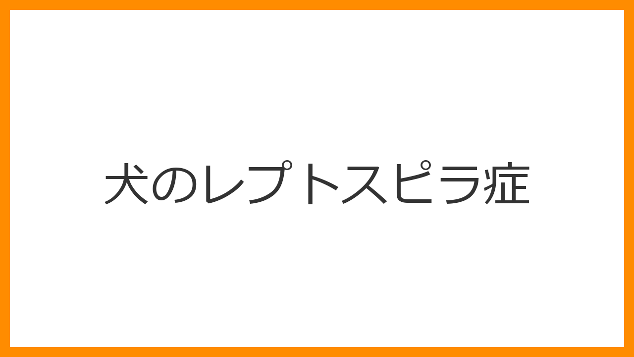 【犬のレプトスピラ症】高熱・激しい嘔吐・黄疸（白目が黄色い）は水たまりの細菌感染？人間にもうつる危険と多価ワクチン予防を解説