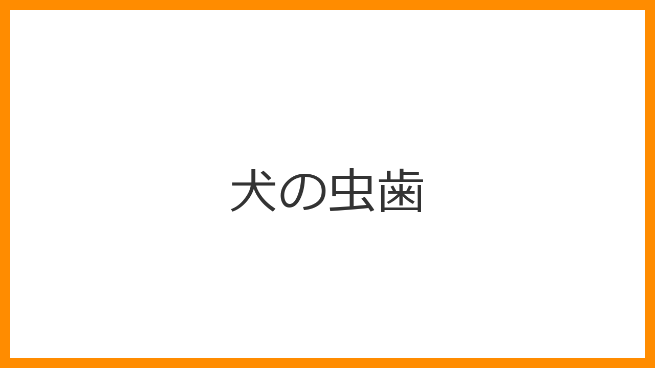 【犬の虫歯】奥歯に黒い穴がある・ご飯を痛がってこぼすのは虫歯？発生原因（甘いおやつ）と抜歯・レジン治療を解説