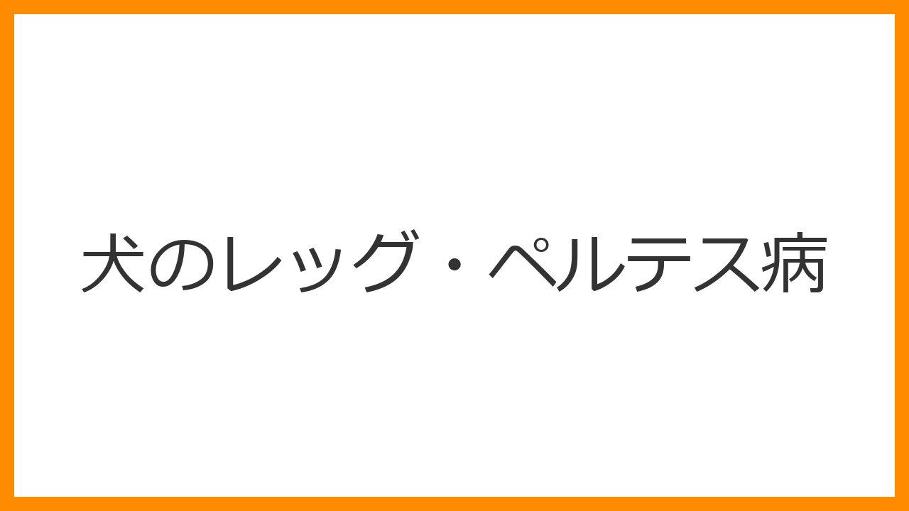 【犬のレッグ・ペルテス病】後ろ足をケンケン・挙げるのは股関節の壊死？トイプードル等の成長期に多い原因と外科手術を解説