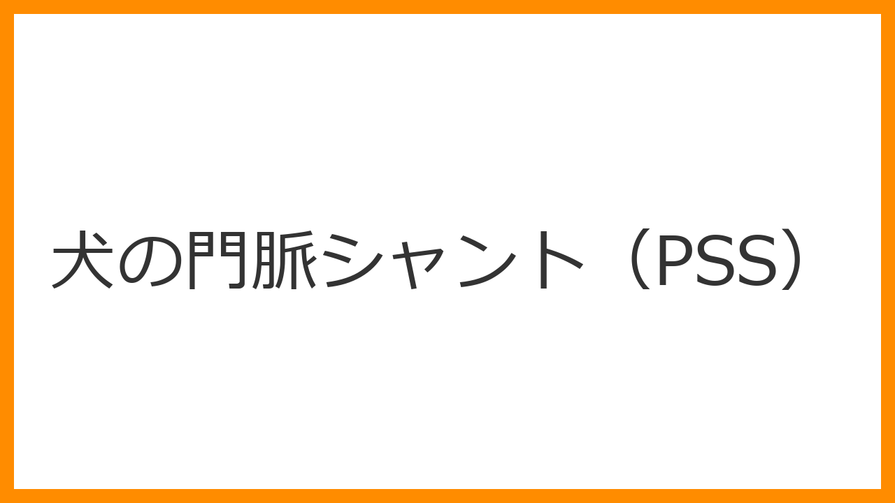 【犬の門脈シャント（PSS）】食後のウロウロ異常行動・よだれは血管の奇形？頭を壁に押し付けるサインと外科手術を解説