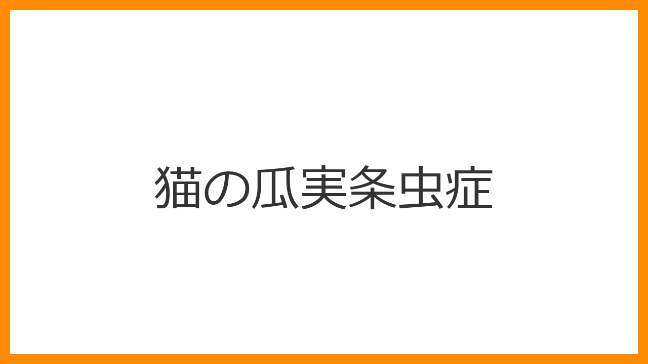 【猫の瓜実条虫症】お尻から「米粒」が出る・お尻歩きはノミの寄生虫？下痢や体重減少の原因とスポット薬での駆虫を解説