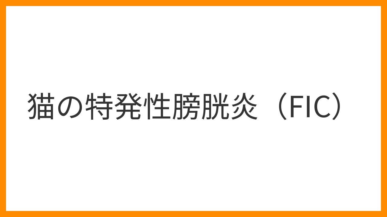 【猫の特発性膀胱炎（FIC）】頻尿・血尿を繰り返す原因不明の膀胱炎をストレスから守る方法