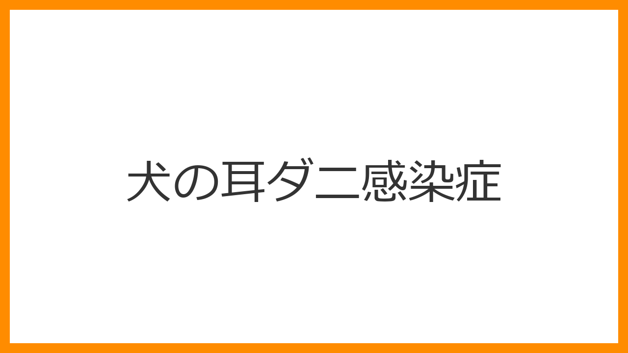 【犬の耳ダニ感染症】頭をバサバサ振る・黒い耳垢はかゆみのサイン？スポット薬ワンショット治療と猫・他犬への感染対策を解説