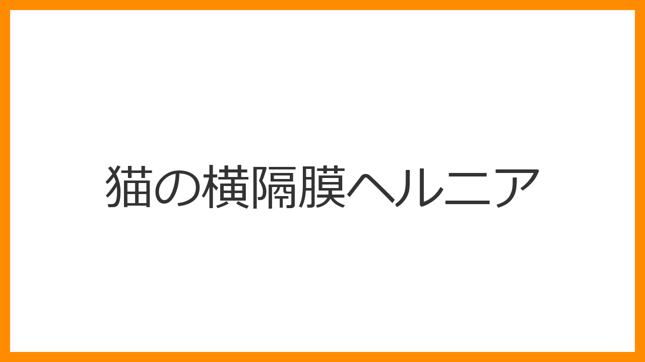 【猫の横隔膜ヘルニア】呼吸が浅い・胸が波打つのは事故のサイン？肺を圧迫する内臓の脱出と外科手術を解説
