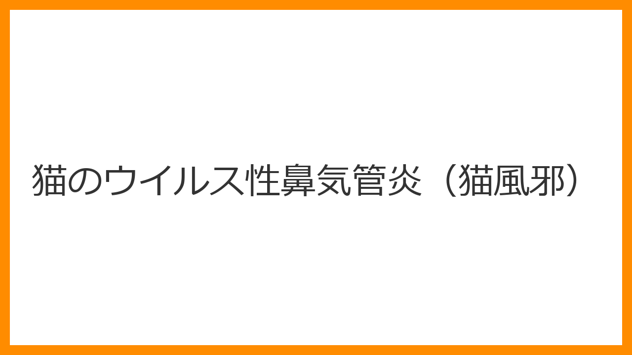 【猫のウイルス性鼻気管炎（猫風邪）】連続くしゃみ・目やにで目が開かないのは失明の危機？FHV-1の潜伏リスクと最新治療を解説