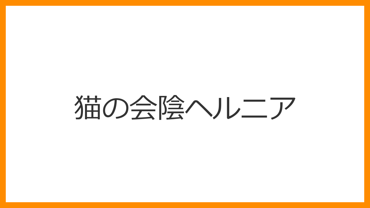 【猫の会陰ヘルニア】お尻の横が膨らむ・ウンチが出にくいのは筋肉崩壊のサイン？膀胱脱出の尿閉リスクと整復手術を解説