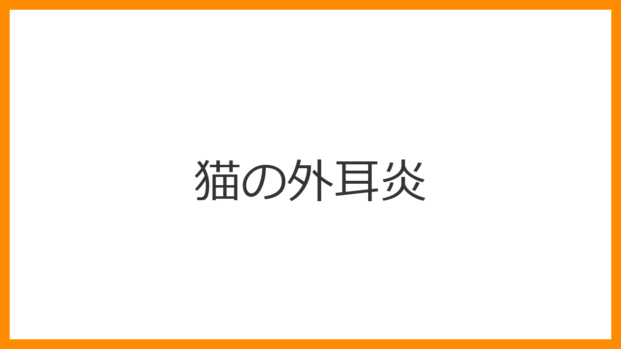 【猫の外耳炎】耳を激しく掻く・頭をパタパタ振るのは「耳ダニ」のサイン？黒いコーヒーかす状の耳垢と綿棒掃除の危険を解説