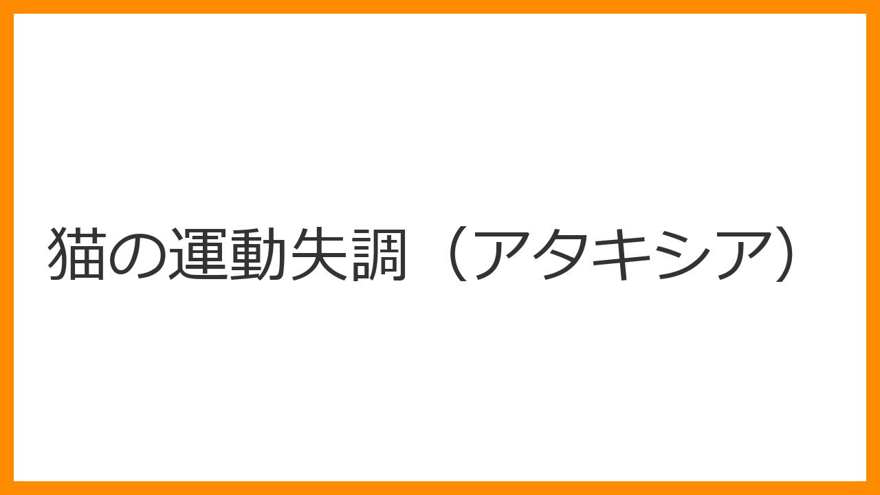 【猫の運動失調（アタキシア）】千鳥足でフラフラ歩く・首が傾くのは脳のSOS？前庭疾患と小脳障害の見分け方を解説