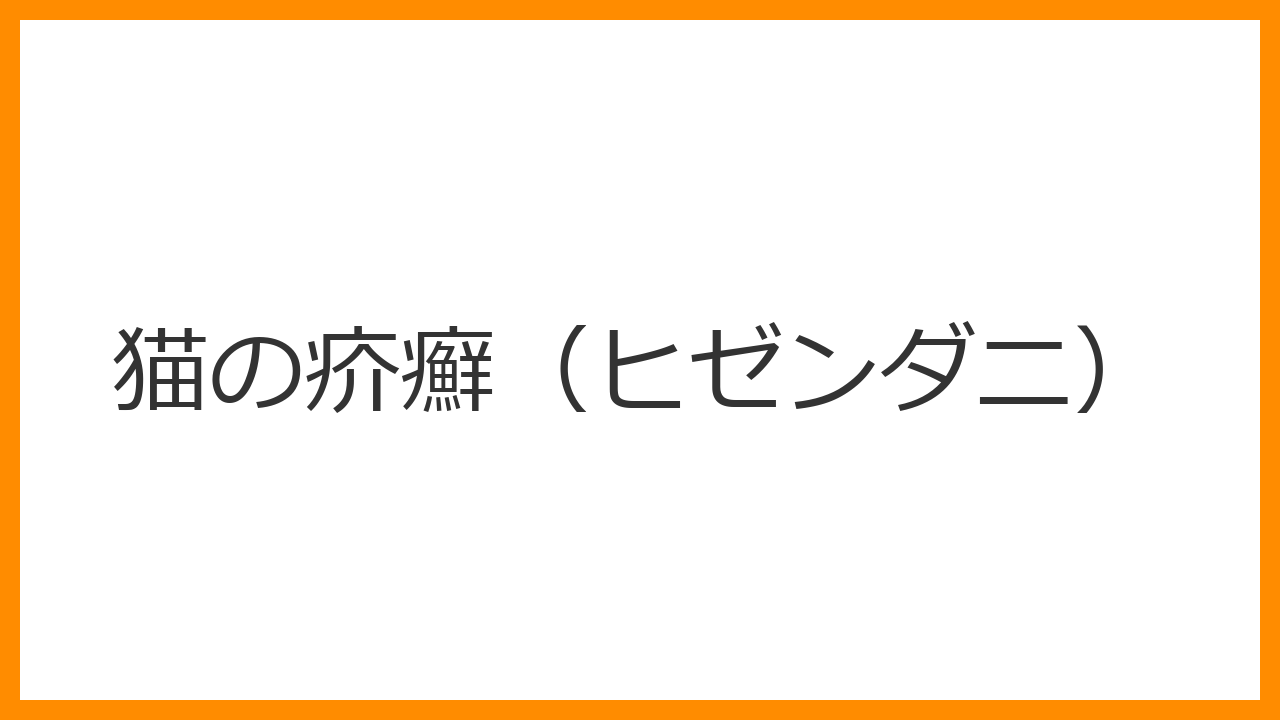 【猫の疥癬（ヒゼンダニ）】顔の激しいハゲ・厚いカサブタは「気絶する痒み」のサイン？人への伝染リスクとスポット薬の一撃治療を解説