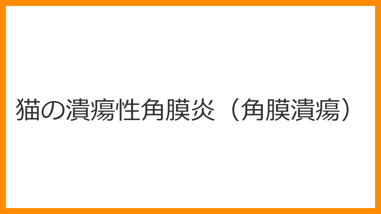 【猫の潰瘍性角膜炎（角膜潰瘍）】目をショボショボさせる・白く濁るクレーター傷は目疾患のSOS？ステロイド禁止の禁忌を解説