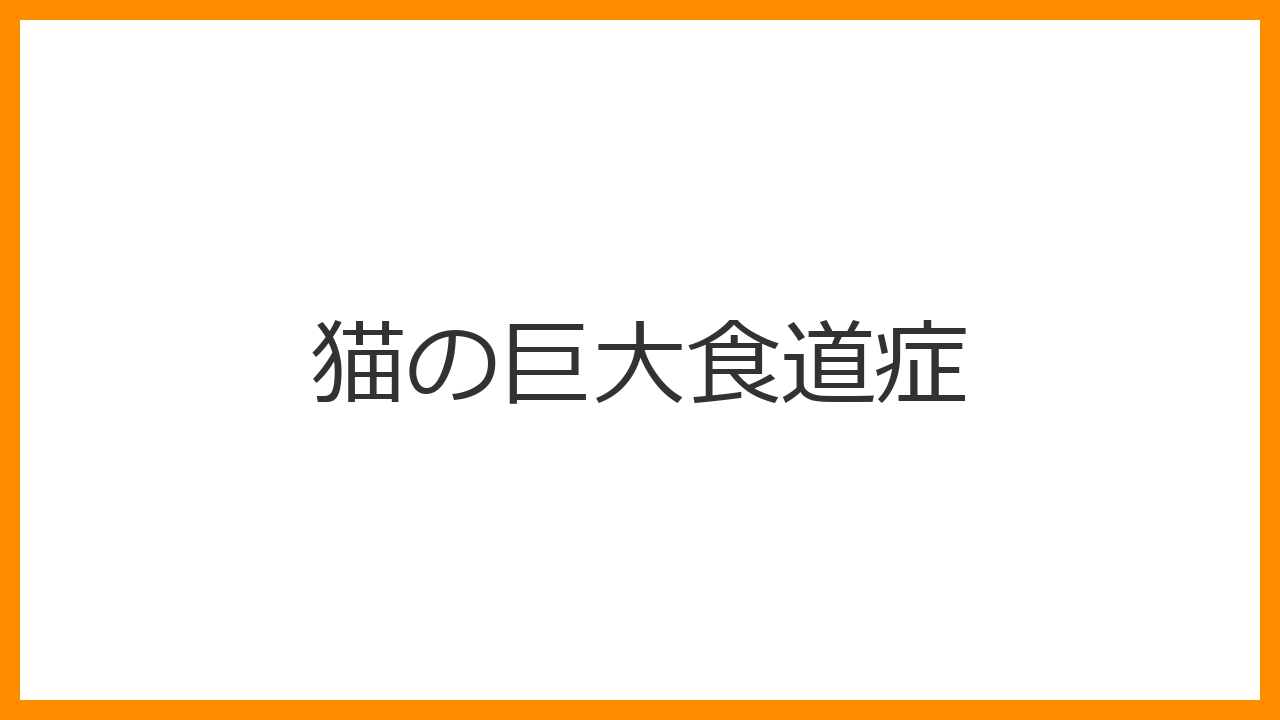 【猫の巨大食道症】食べた直後の「逆流」は病気のサイン？飲み込めない苦しみと直立食事療法の秘訣を解説