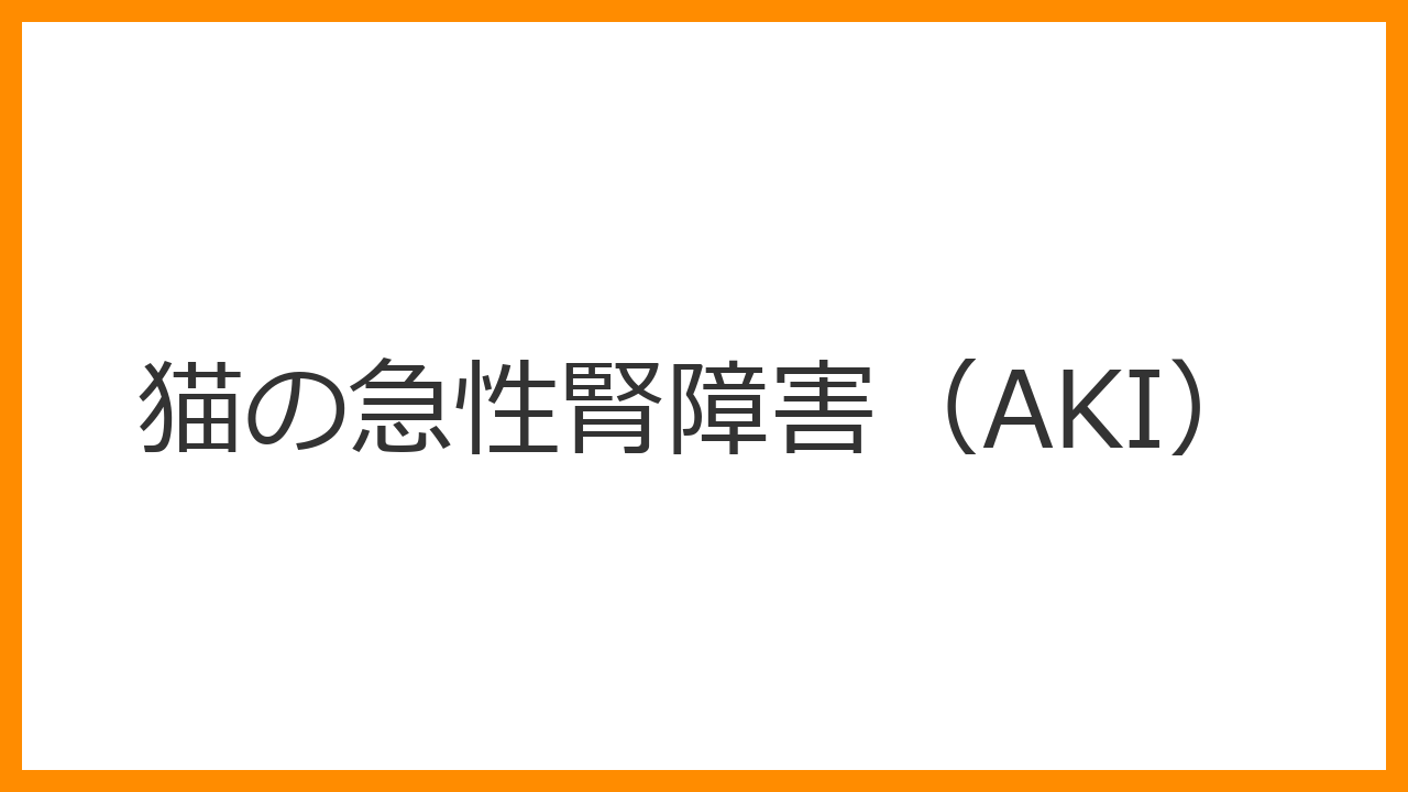 【猫の急性腎障害（AKI）】突然おしっこが出ない・何度も吐くのは「ユリ中毒」のサイン？1日の遅れが死を招く救急処置を解説