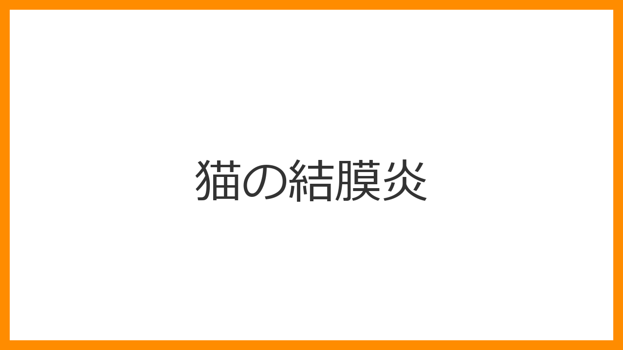 【猫の結膜炎】目が開かない・涙が止まらないのは「ウイルス」の警告？腫れるまぶたと目やにの正体を解説