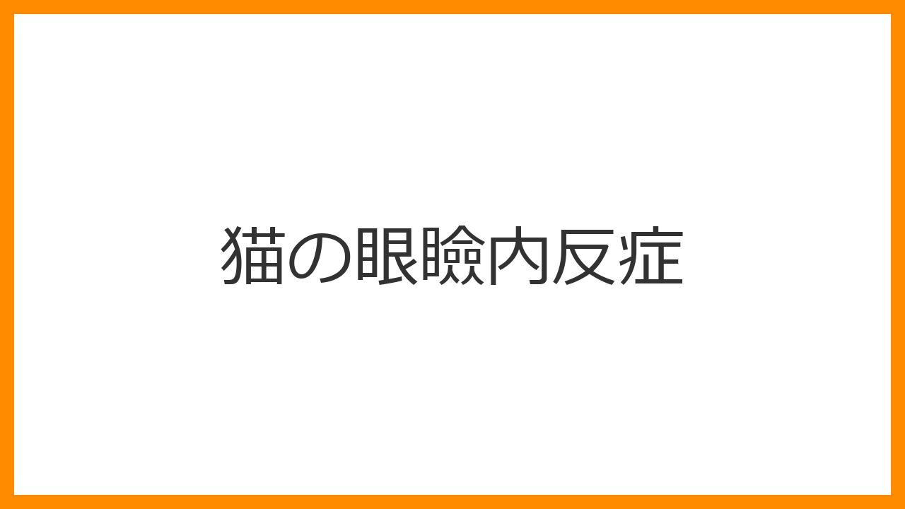 【猫の眼瞼内反症】目がウルウル・逆さまつげは激痛のサイン。まぶたを「整形」して角膜を救う外科治療を解説