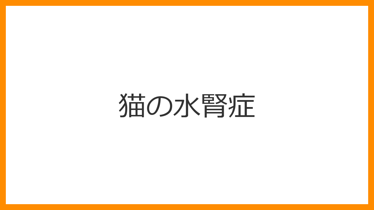 【猫の水腎症】無症状のまま腎臓が「尿の袋」に？尿管閉塞による片側腎臓の沈黙の破壊と最新治療を解説