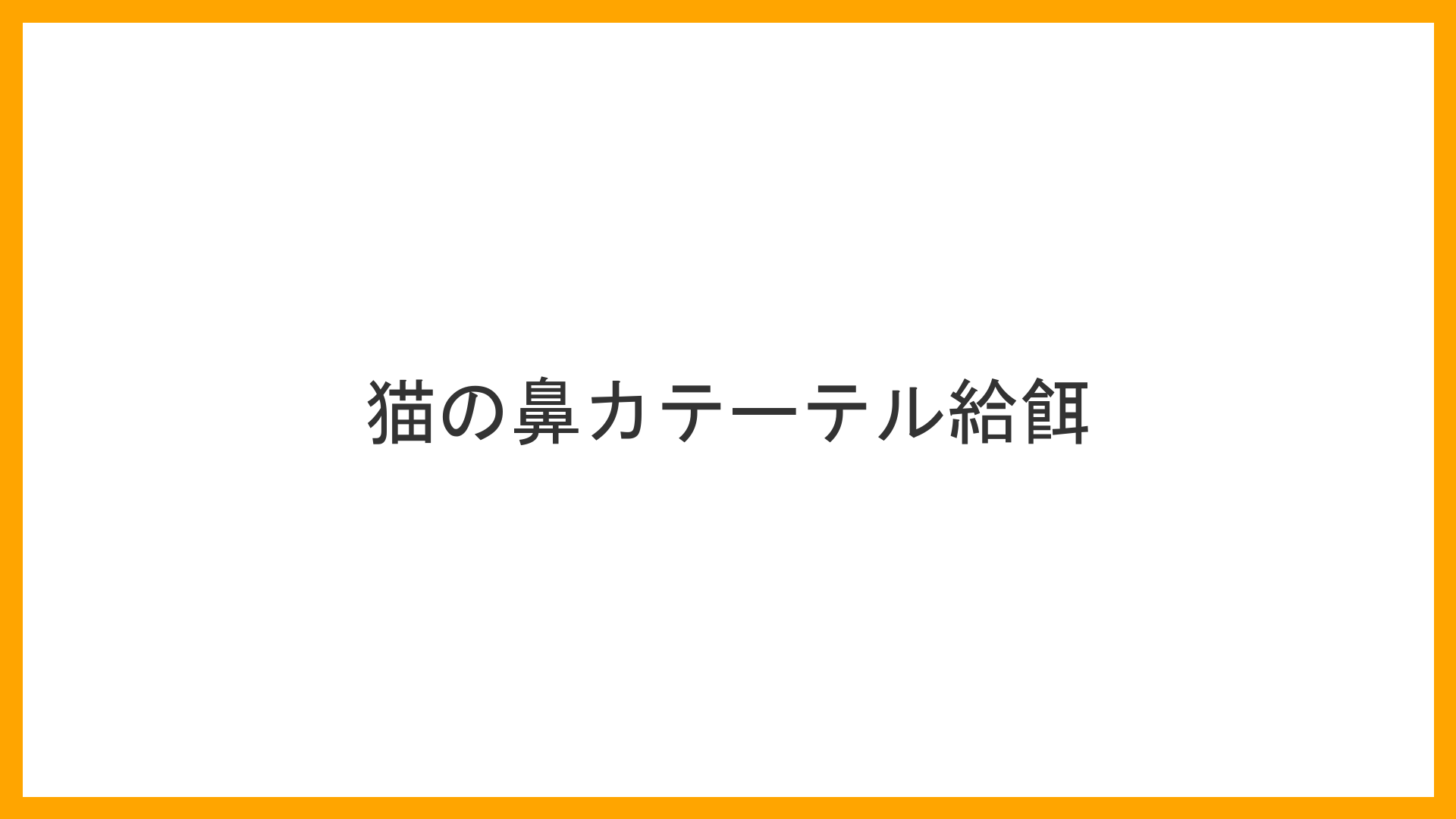 動物病院の入院室にて、猫の鼻に「細いシリコンチューブ」（鼻食道カテーテル）を通して、そこから直接流動食を少量ずつ流している治療シーン。膵臓への負担を極限まで減らしつつ体にエネルギーを補給している「命の架け橋」が描かれている（猫膵炎治療・鼻カテーテル・早期経腸栄養の実写風イラスト）