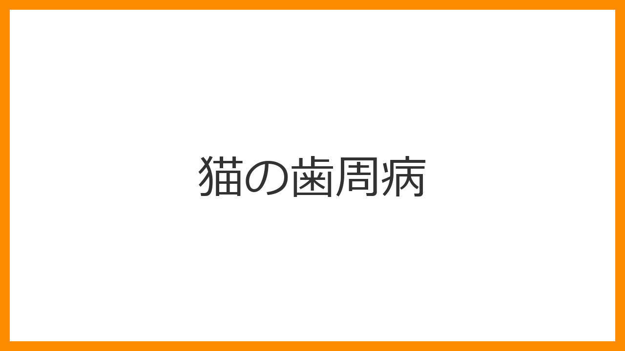 【猫の歯周病】口臭がひどい・歯茎が赤いのは歯周病のサイン？原因・症状・治療と毎日のケアを解説