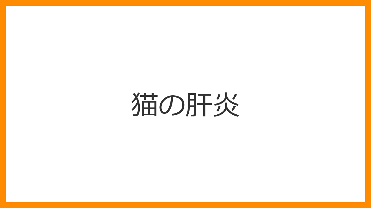 【猫の肝炎】・胆管肝炎の症状、原因、治療法と「三臓器炎」について解説