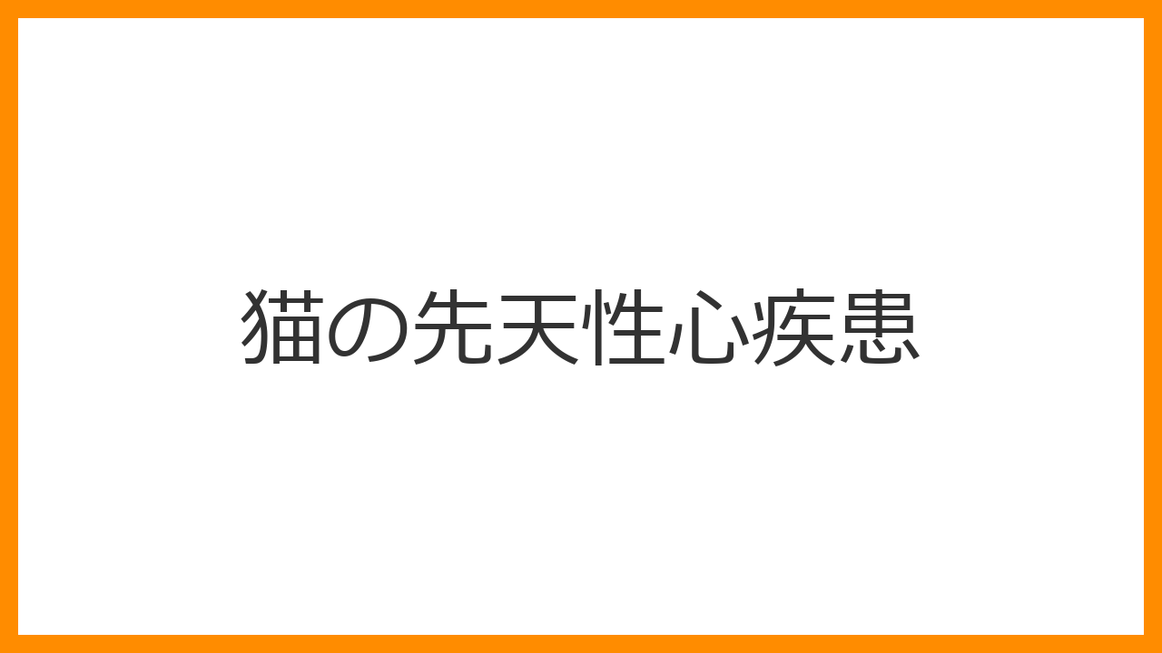 【猫の先天性心疾患】生まれつきの心臓の異常とは？種類・症状・最新の治療法を徹底解説