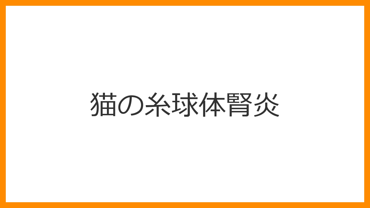 【猫の糸球体腎炎】の症状、原因、治療法と慢性腎臓病への進行を防ぐポイントを解説