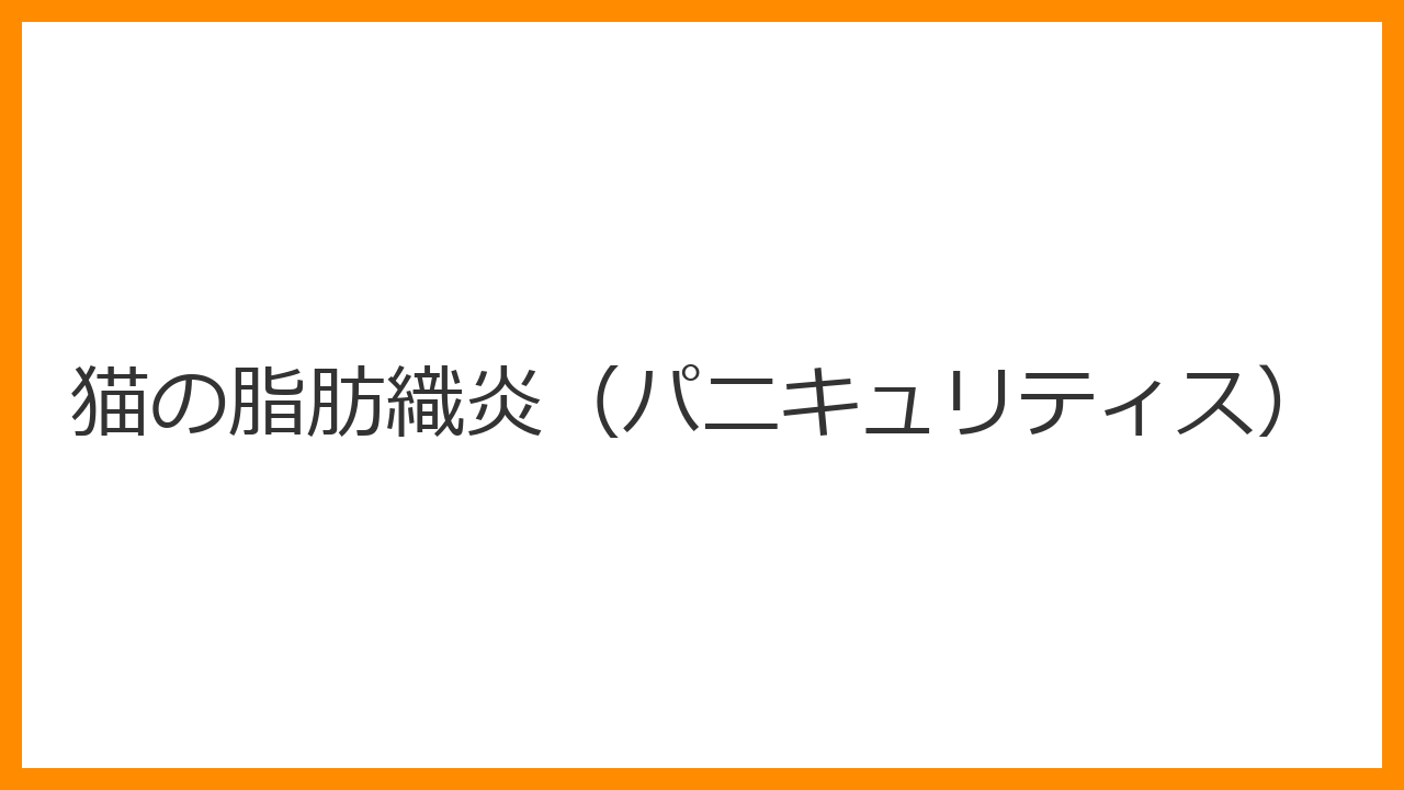 【猫の脂肪織炎（パニキュリティス）】皮膚の下に硬いしこりとオイル状の液体が出てくる原因と治療法を解説