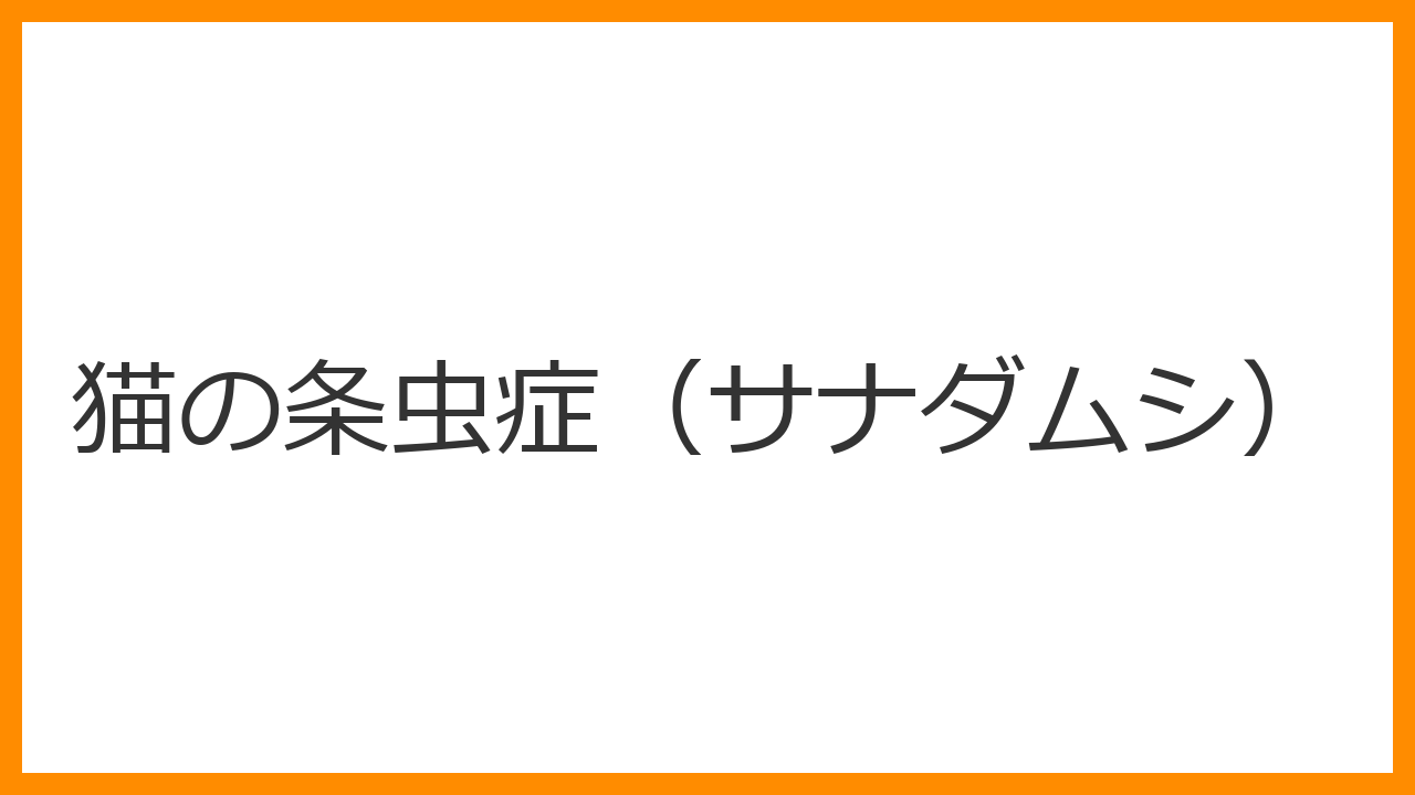 【猫の条虫症（サナダムシ）】お尻の周りに米粒のような白いものが動いている！ノミの駆除と条虫の同時駆虫で解決する方法を解説