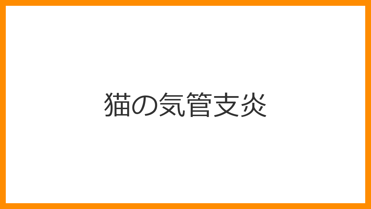 【猫の気管支炎】の症状、原因、治療法と慢性化を防ぐための環境管理を解説