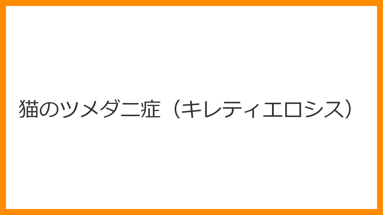 【猫のツメダニ症（キレティエロシス）】白いフケが大量に出る・背中に歩くフケがある！感染性皮膚疾患の治療と環境消毒を解説