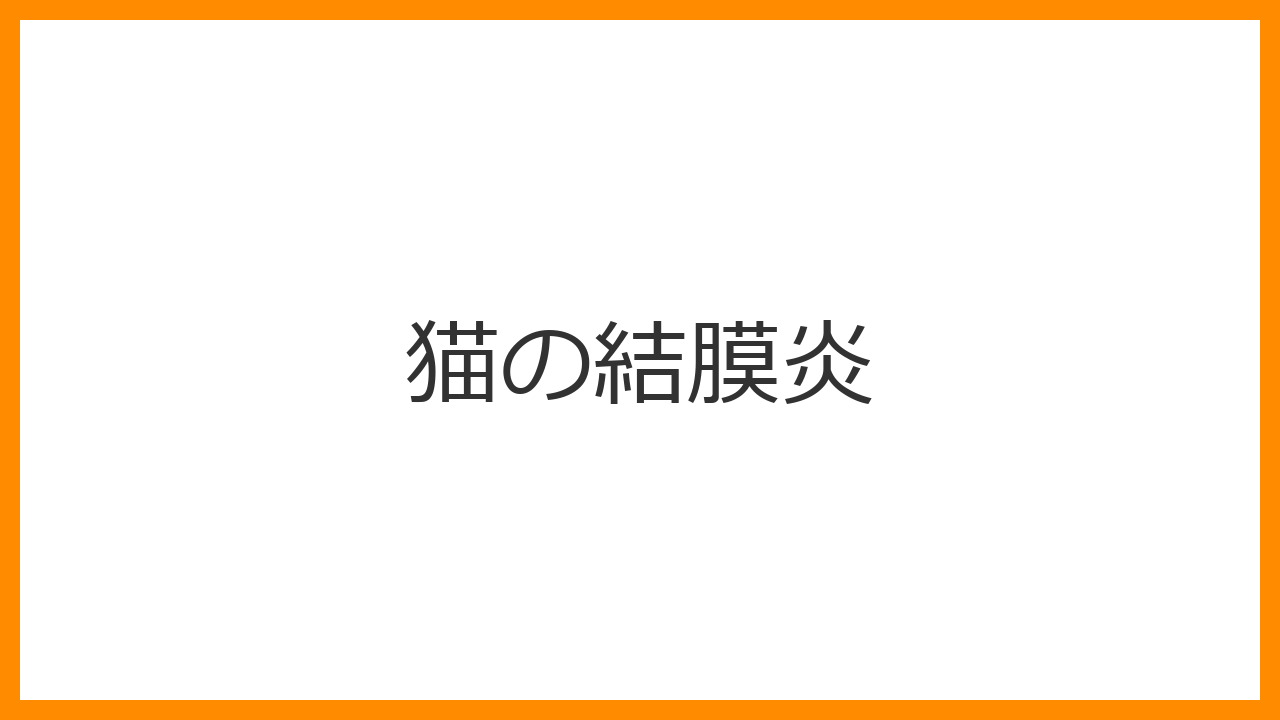 【猫の結膜炎】の症状、原因、治療法と角膜潰瘍への悪化を防ぐケアを解説