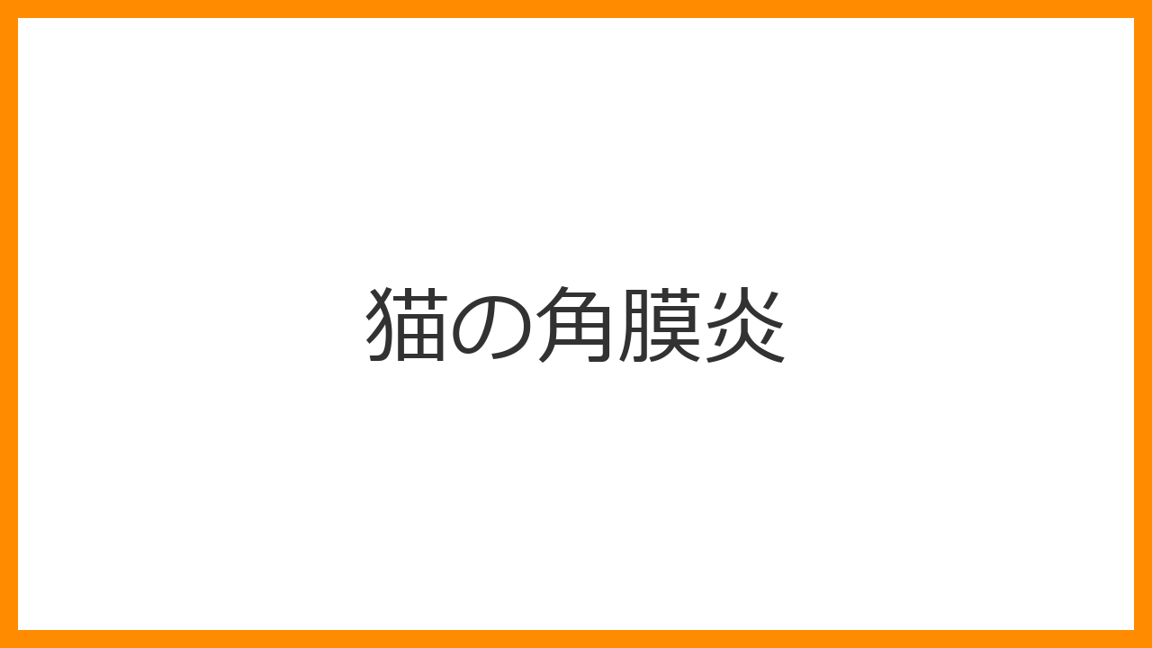 【猫の角膜炎】の症状、原因、治療費用と失明リスクを防ぐための正しい知識を解説