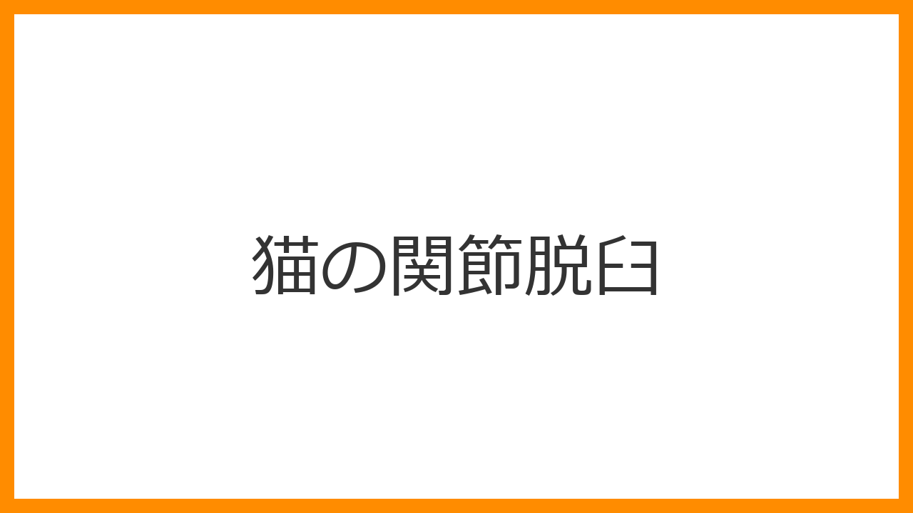 【猫の関節脱臼】高所からの落下・交通事故後の突然の跛行は脱臼骨折の緊急サイン！整復手術と回復期管理を解説