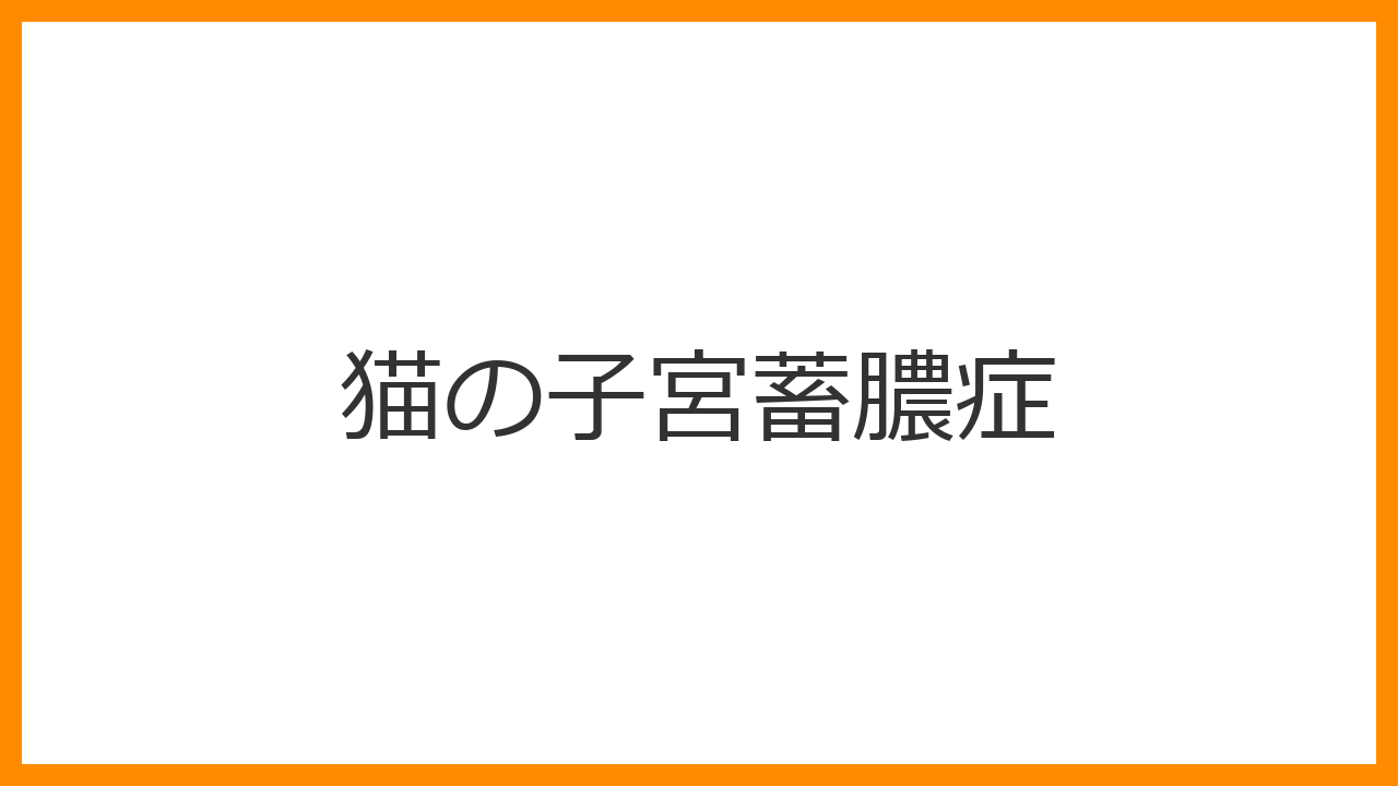 【猫の子宮蓄膿症】の症状、原因、手術費用と緊急性｜「様子を見る」が命取りになる理由
