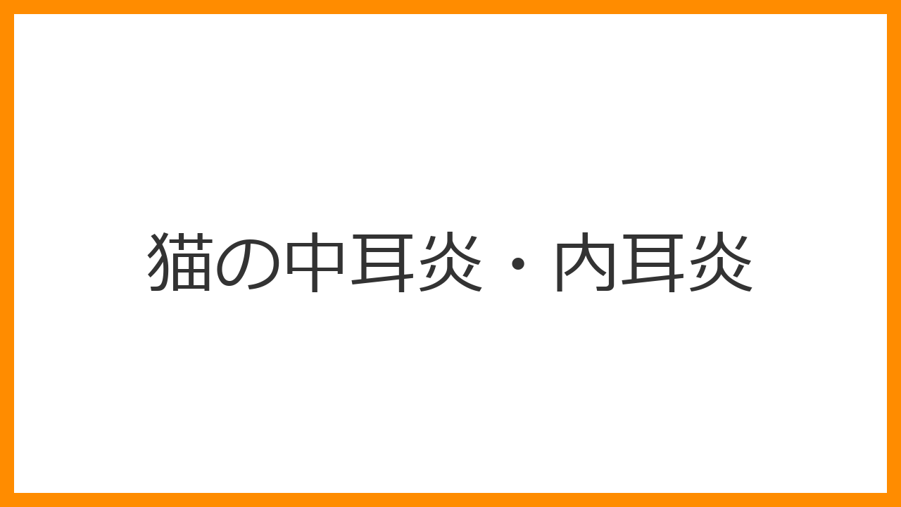 【猫の中耳炎・内耳炎】首を傾ける・目が揺れる・ぐるぐると回る猫のホルネル症候群と前庭疾患の診断と治療を解説