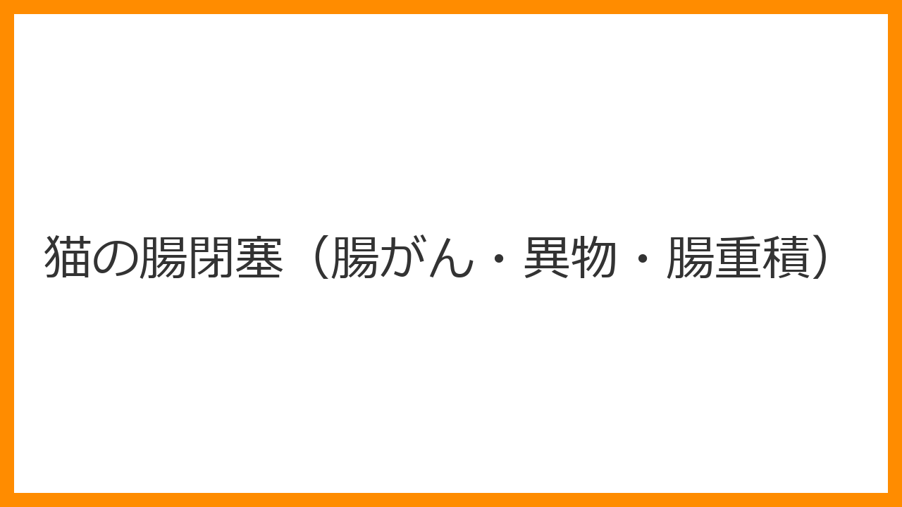【猫の腸閉塞（腸がん・異物・腸重積）】嘔吐が止まらない・お腹が張る・排便がない猫の緊急手術と異物誤飲予防を解説
