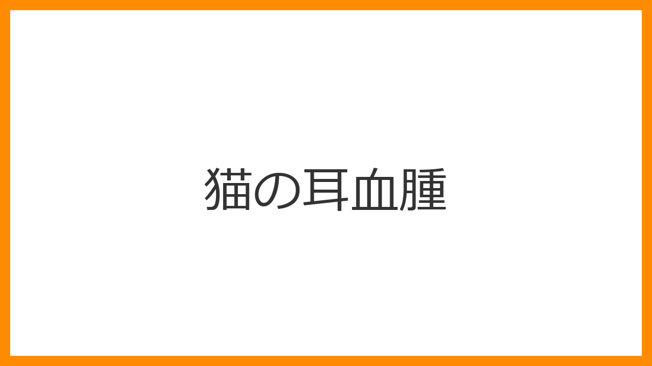 【猫の耳血腫】耳がプルプルと膨らんでいるのは緊急サイン？自然治癒を待つ危険性と外科的排液・手術を解説