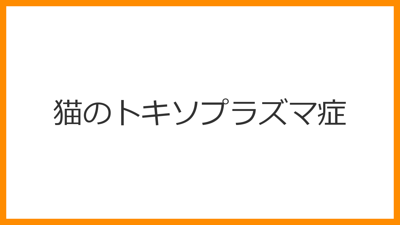 【猫のトキソプラズマ症】の症状、原因、感染経路と人間へのリスクを解説