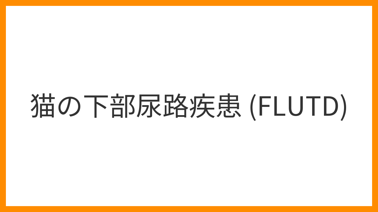 【猫の下部尿路疾患（FLUTD）】頻尿・血尿・尿閉を引き起こす複合疾患の原因と治療法