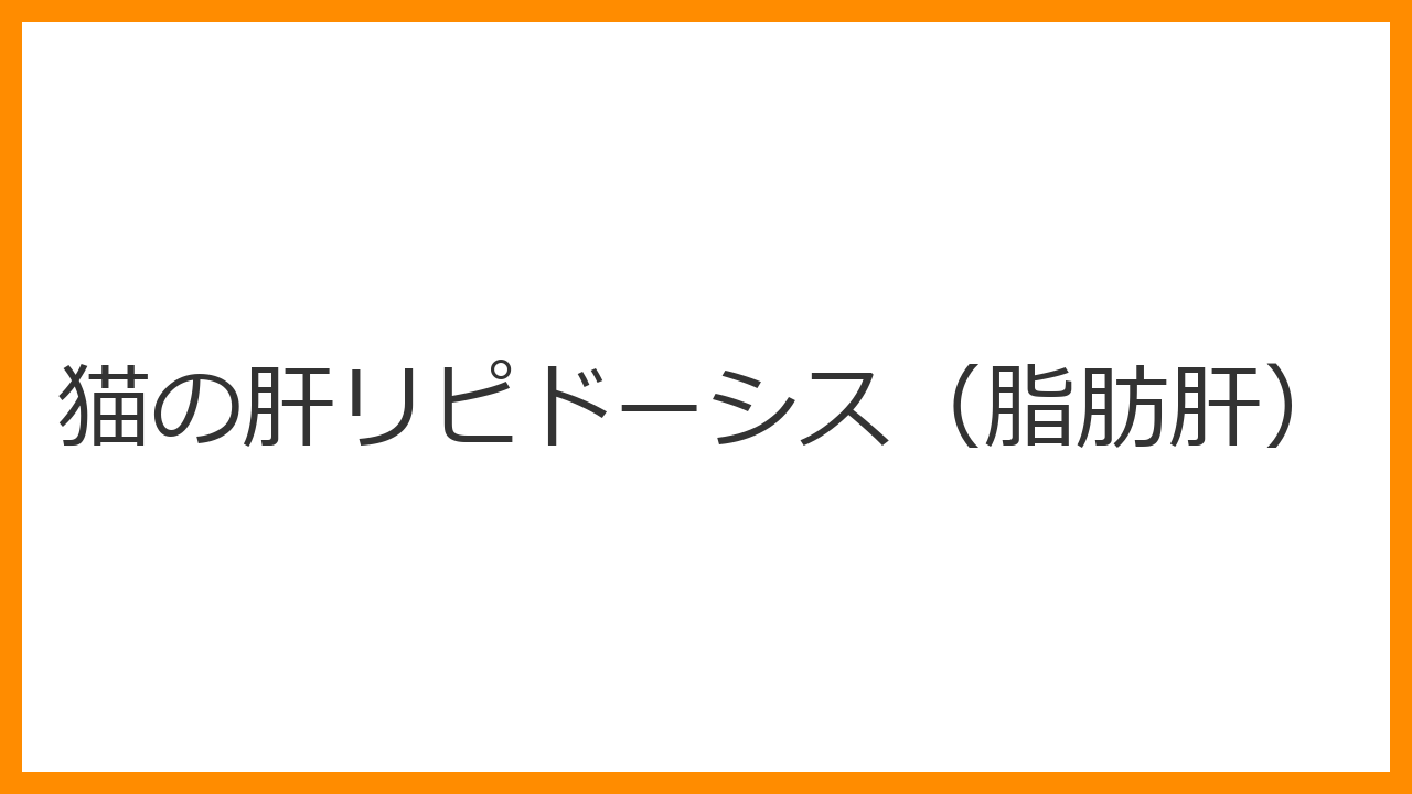 【猫の肝リピドーシス（脂肪肝）】2日以上ご飯を食べない猫は要注意！急速に黄疸・肝不全へ進む脂肪肝の原因と強制給餌・輸液治療を解説