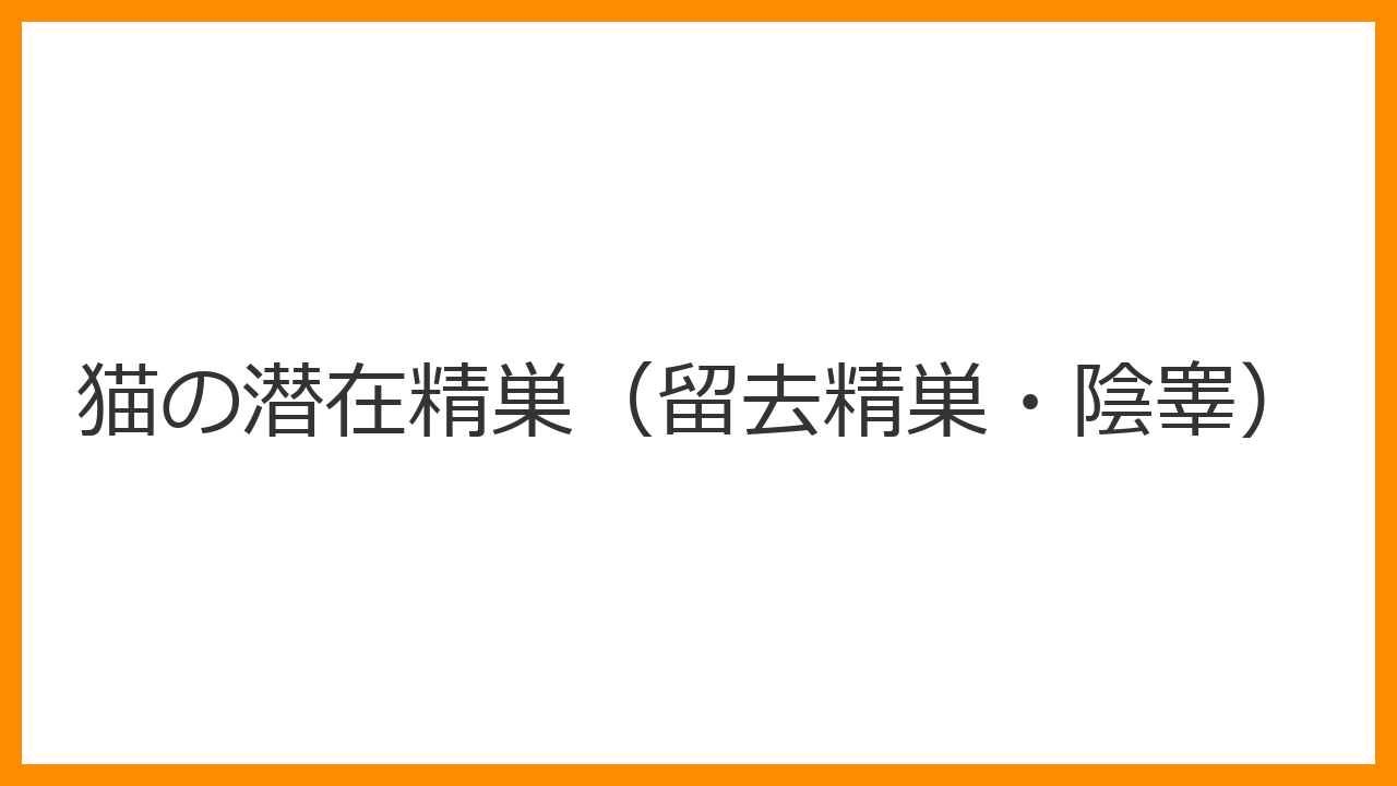 【猫の潜在精巣（留去精巣・陰睾）】タマタマが片方ない・去勢後もスプレーが止まらないのは危険？将来のがん化リスクと開腹去勢手術を解説