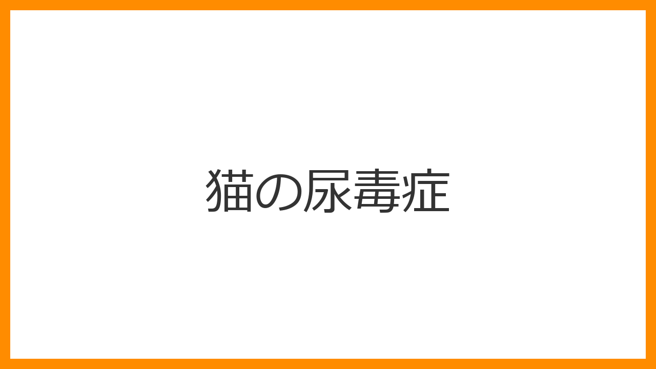 【猫の尿毒症】慢性腎不全の末期症状・けいれん・意識障害・口臭が尿臭い猫の緊急対応と緩和ケアを解説