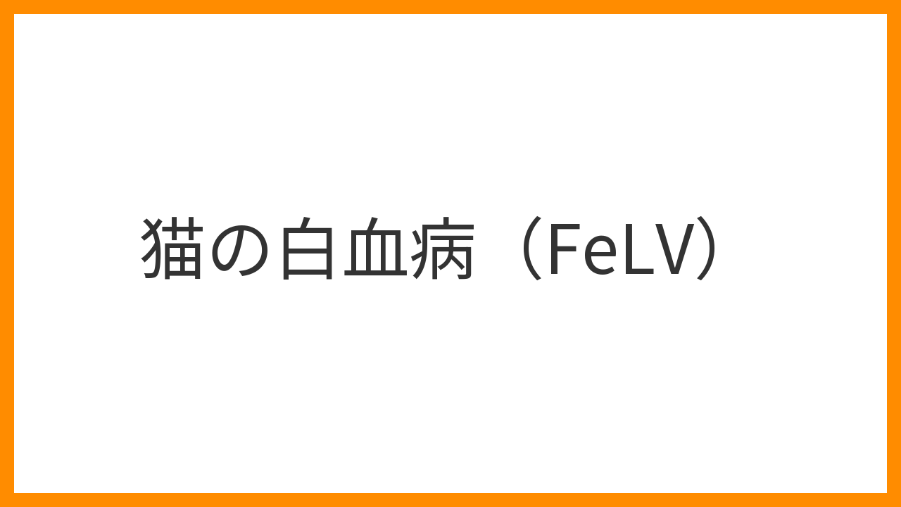 【猫の白血病（FeLV）】貧血・免疫不全・リンパ腫を引き起こす猫白血病ウイルスの正しい知識