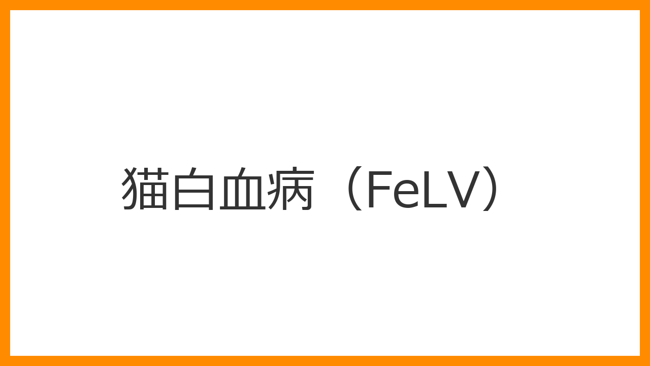 【猫の白血病（FeLV）】歯ぐきが白い・リンパが腫れる・熱が続くのは危険？猫エイズより強い感染力と5種ワクチンによる予防を解説